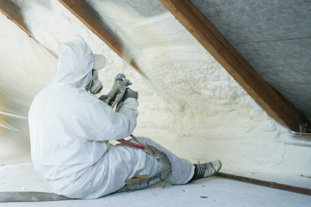 Professional Insulation Removal & Installation in St Anne, IL