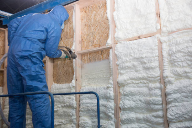 Best Basement Insulation in St Anne, IL